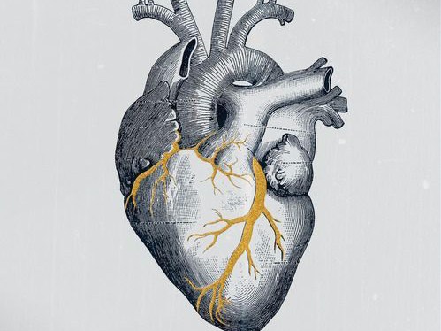 The Nature of&nbsp;Healing