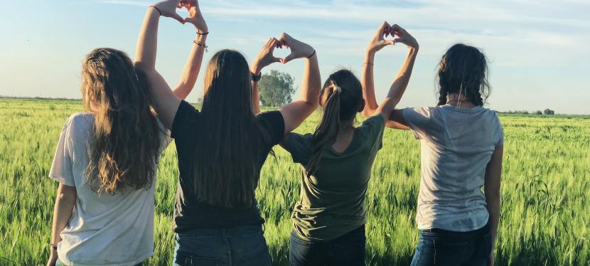 Friendship: A Sturdy&nbsp;Shelter