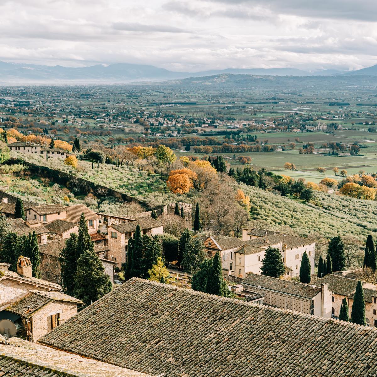 Caring For God’s&nbsp;Creation